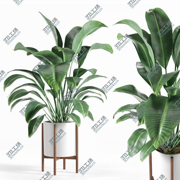 images/goods_img/20210312/3D Plant/1.jpg
